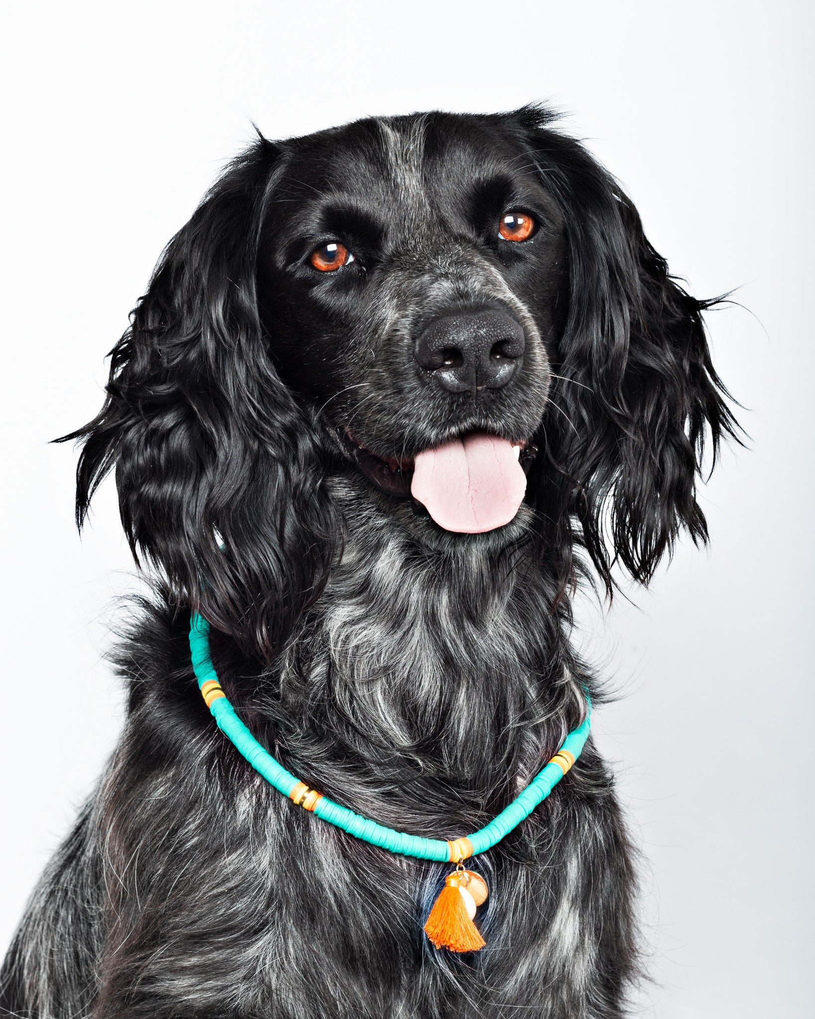 DWAM - Hundekette "Coco Beach"