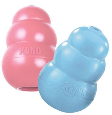 Kong - Puppy