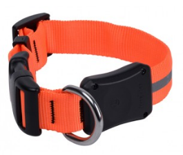 NiteDawg LED - Hundehalsband "Orange" Größe L
