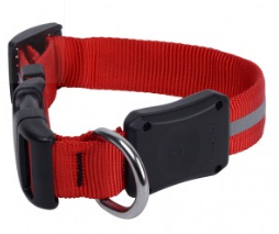 NiteDawg - LED Hundehalsband "Rot" Größe M