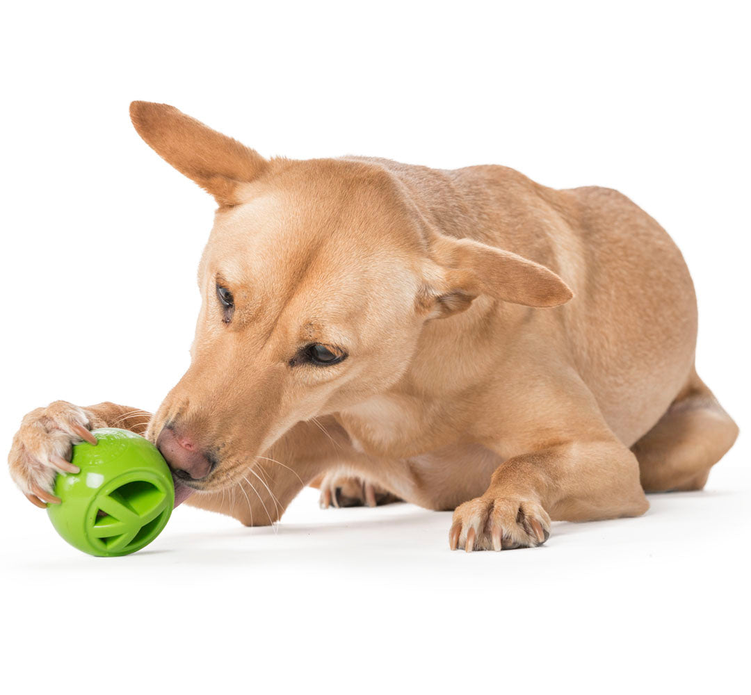 Planet Dog - "Orbee Tuff Nooks - Peace"