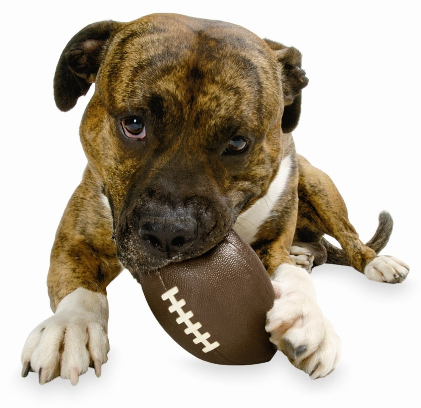 Planet Dog - "Football"