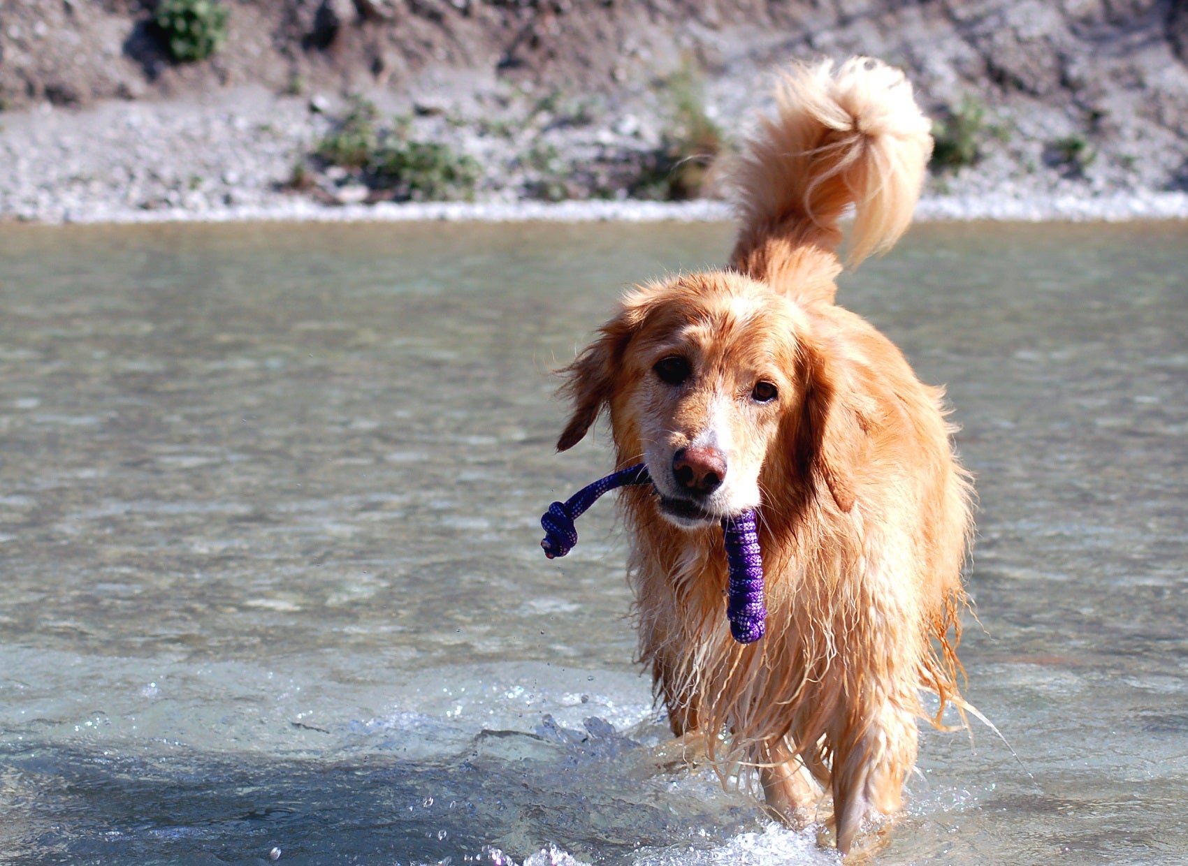 Treusinn - "Spiely“ aus Segeltau