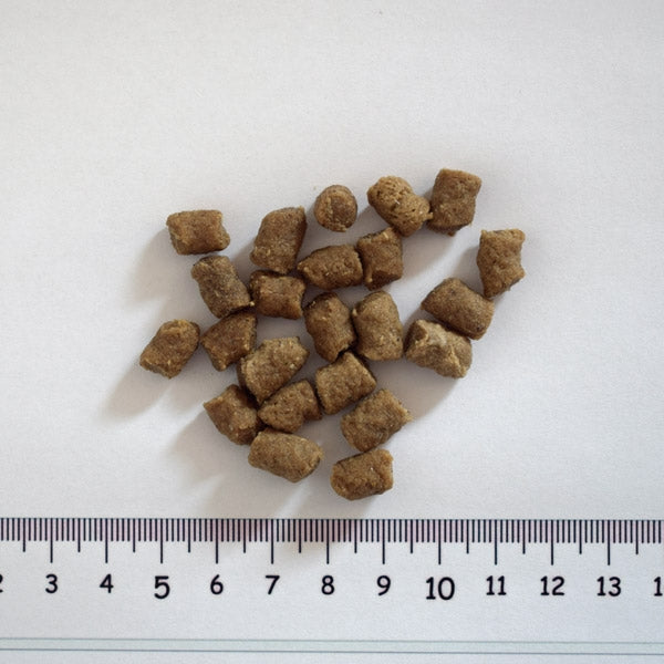 Black Canyon - Trainers "Smoky Mountains" 600g
