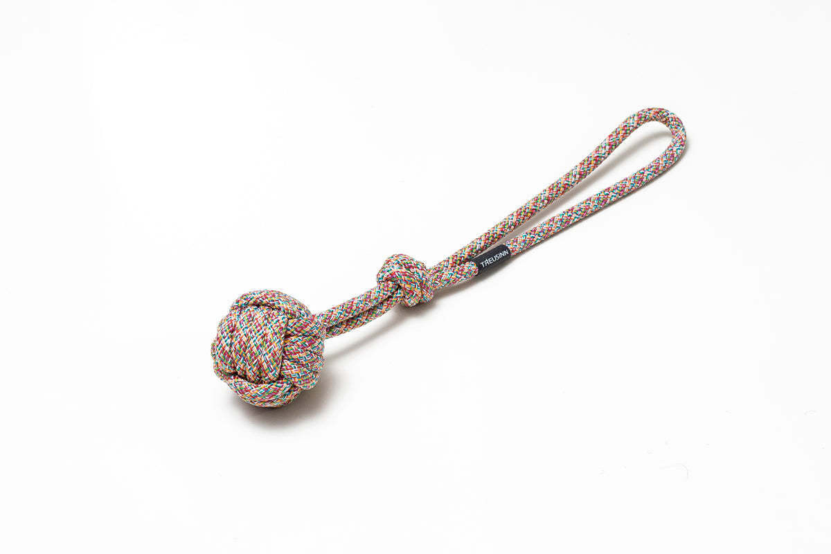 Treusinn - "BOLLY" Rainbow aus Segeltau