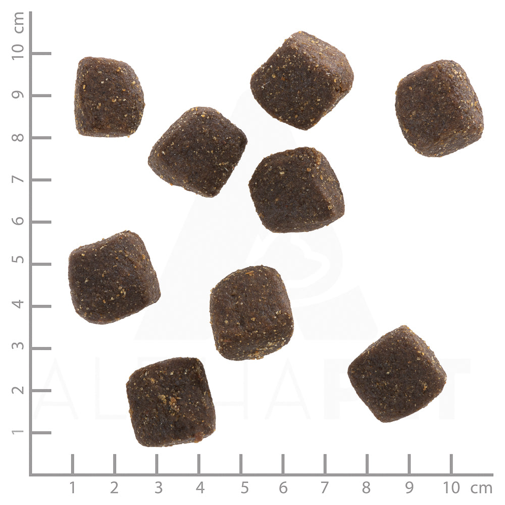 Wolfsblut - SQUASHIES "Black Marsh" 300g
