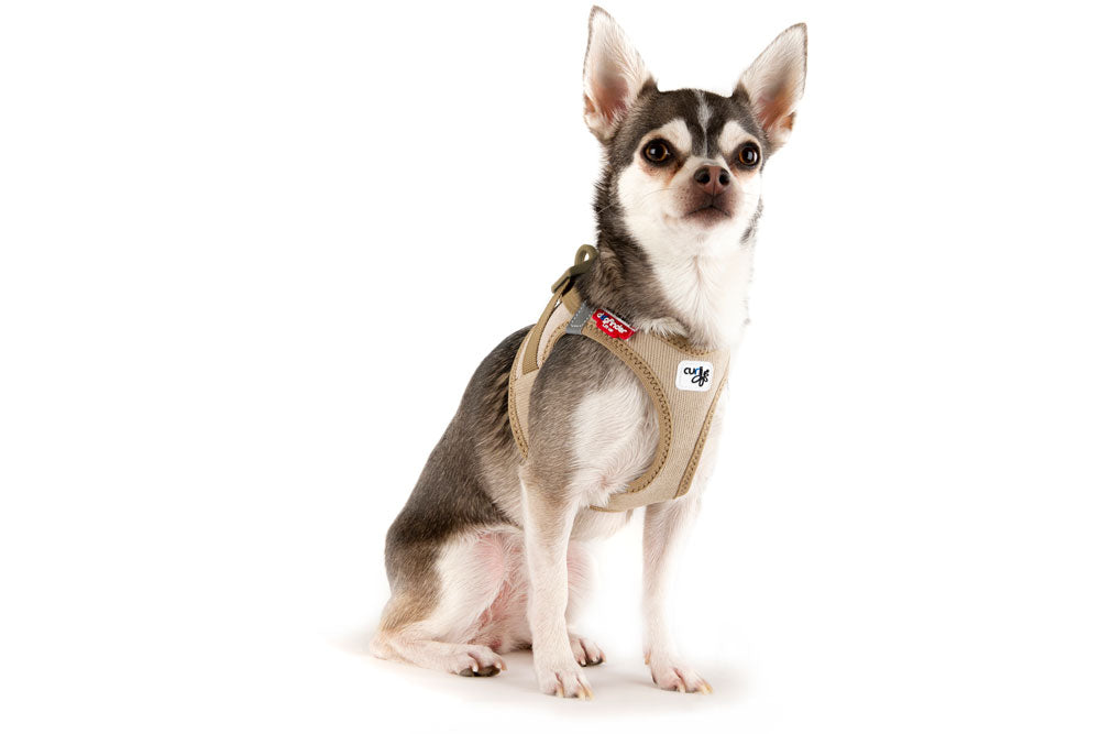 Curli - Vest Cord mit Schnalle "tan"