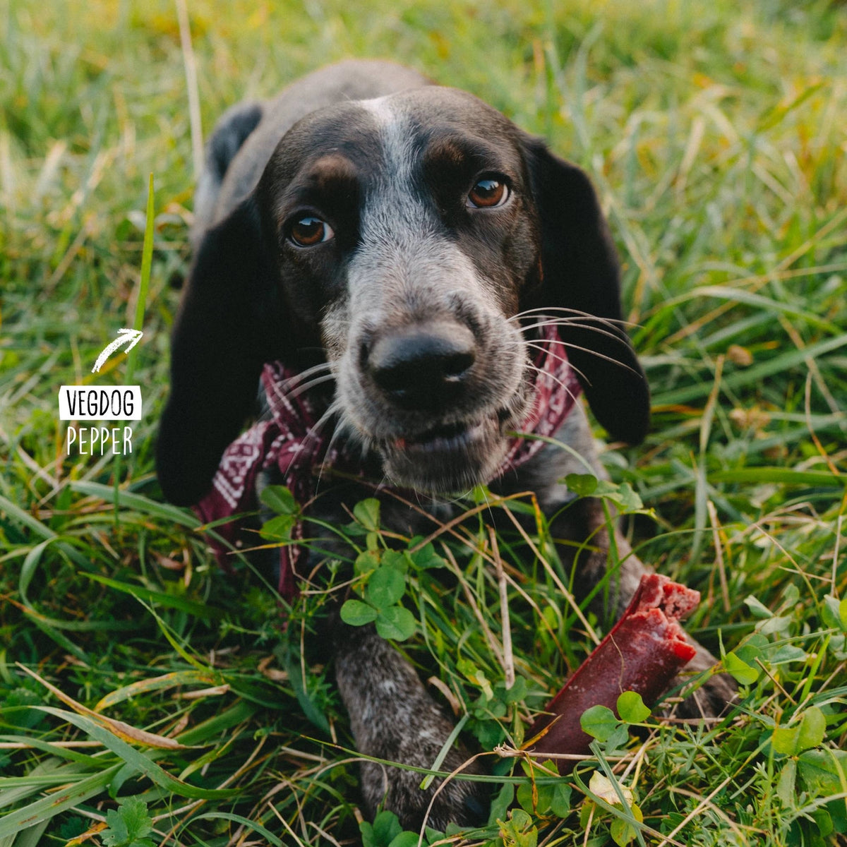 VegDog - Chevvies XL 200g
