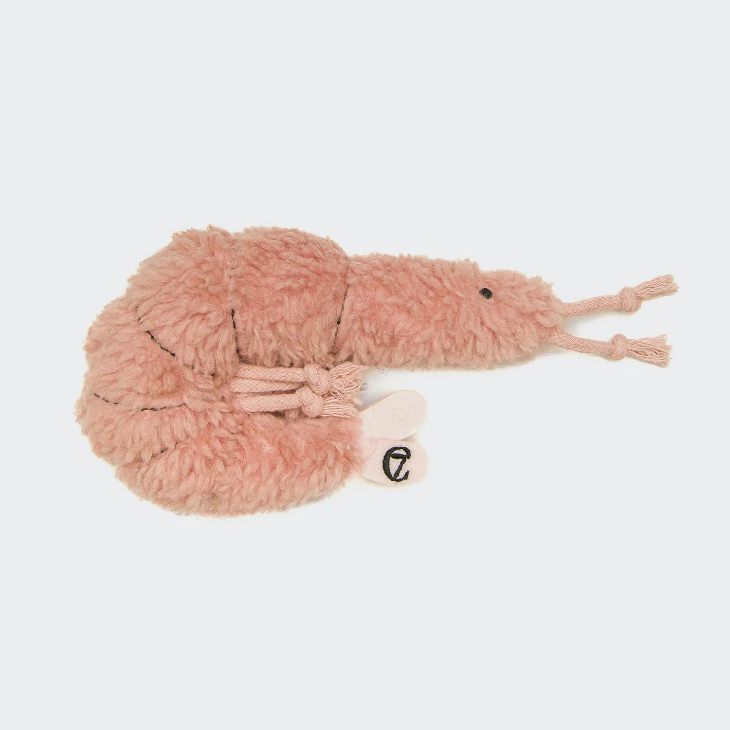 Cloud7 - Shrimp "Susi"