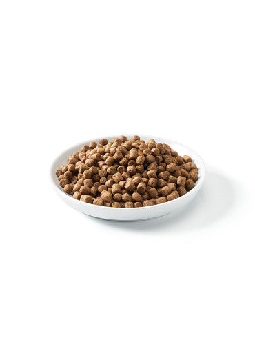 defu - BIO Trockenfutter "Adult Mini Geflügel" 800g