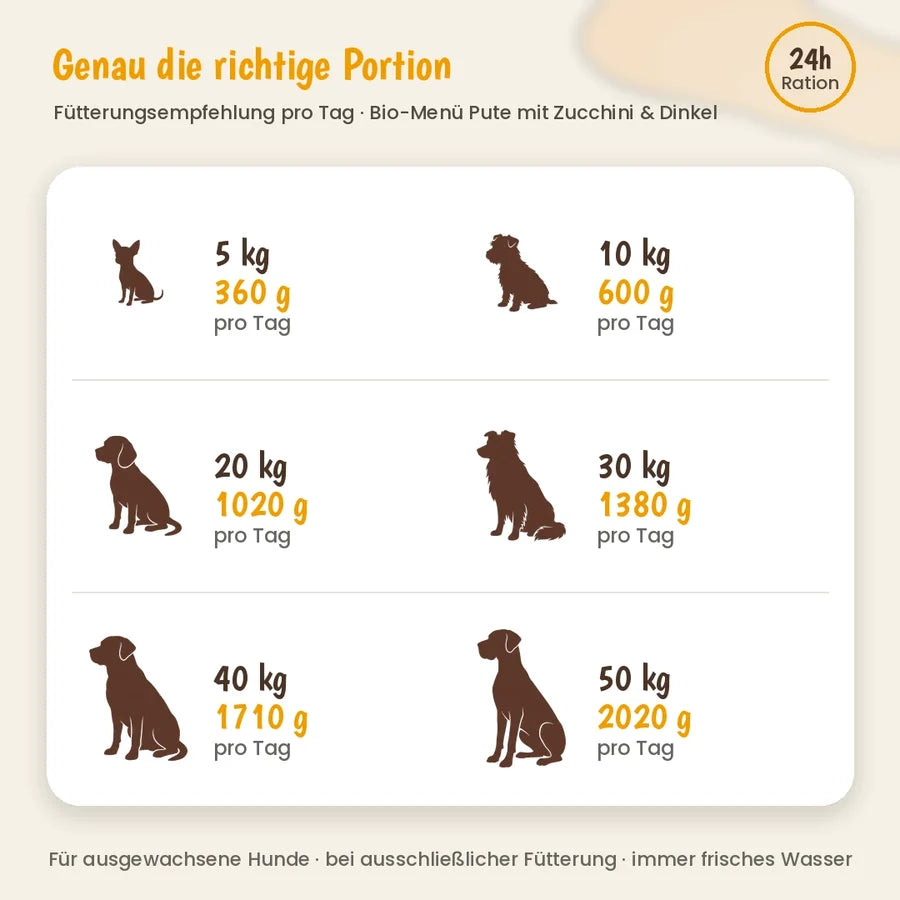 defu - BIO Menü "Pute mit Zucchini und Dinkel"