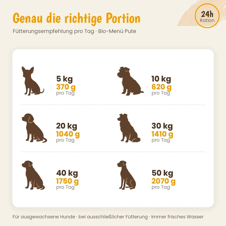 defu - BIO Menü "Pute getreidefrei mit Zucchini und Kürbis"