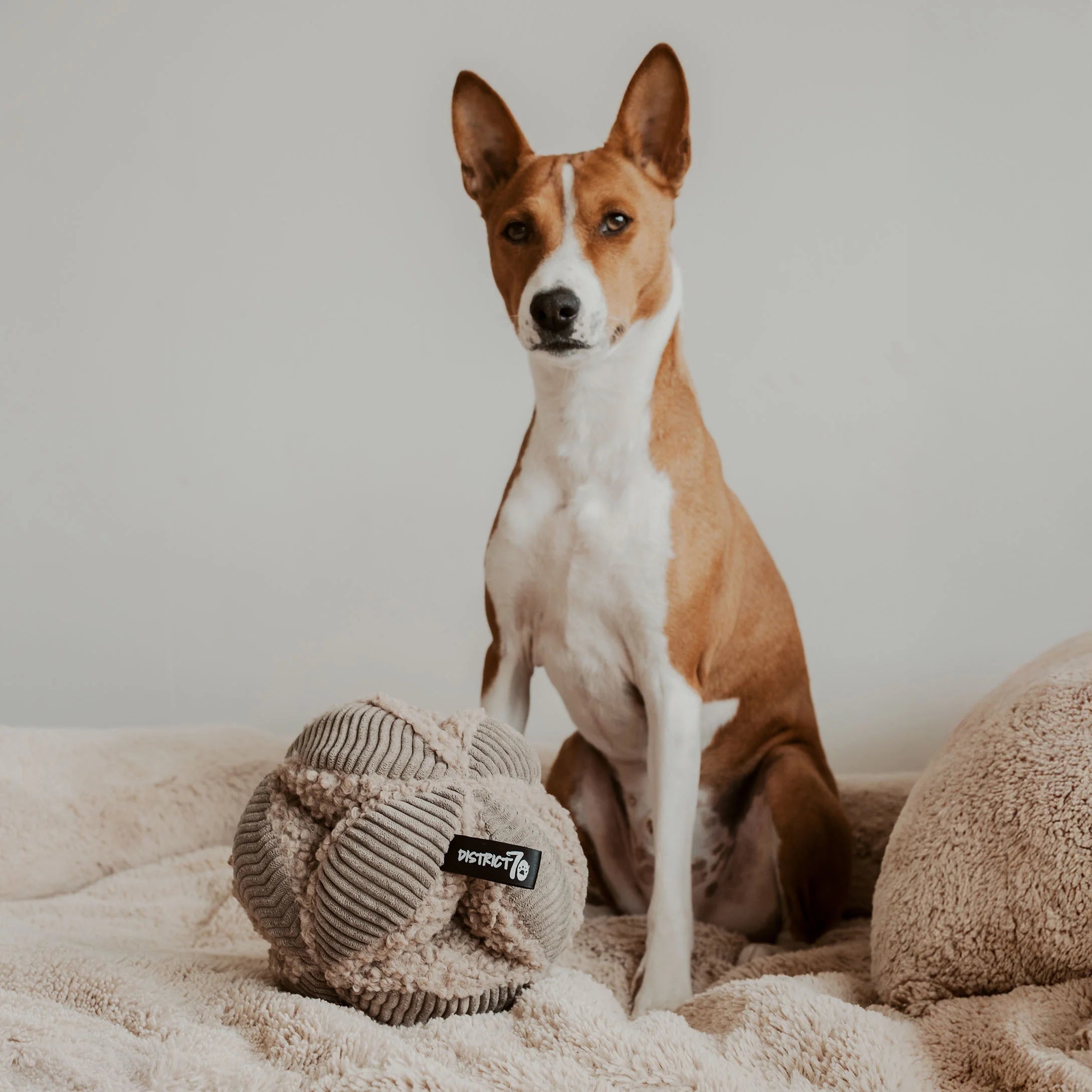 District 70 - Spielzeug "Bobby" in taupe