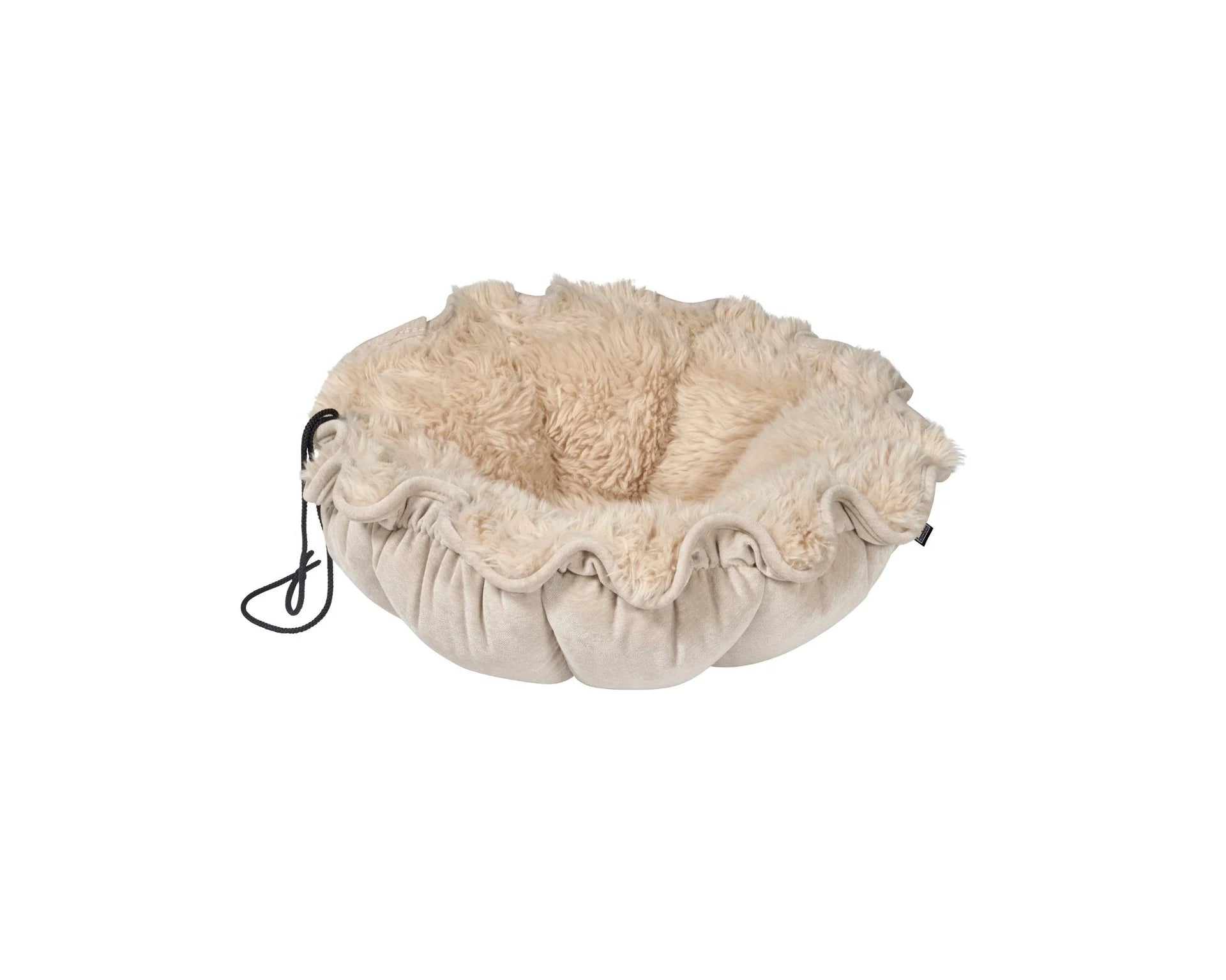Bowsers - Buttercup "Fluffernutter" L