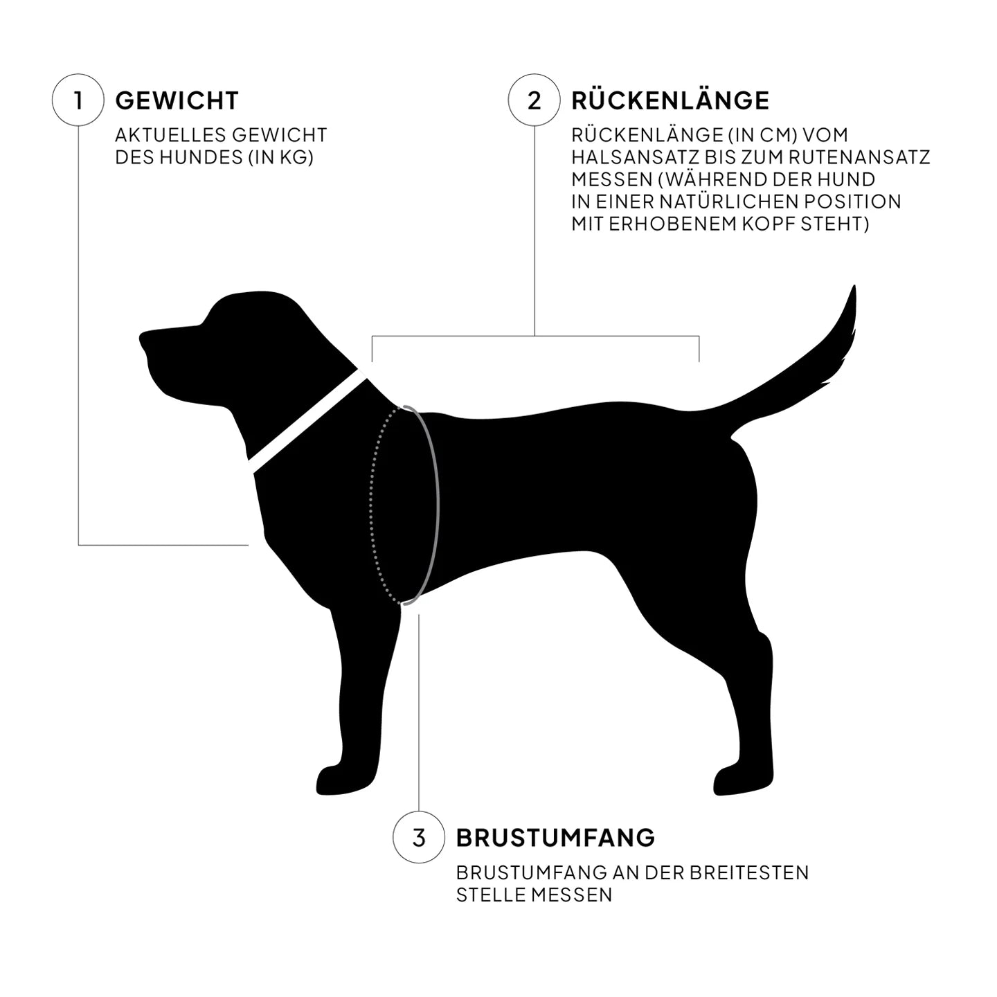 Cloud7 - Hundebademantel "Wannsee Stripes"
