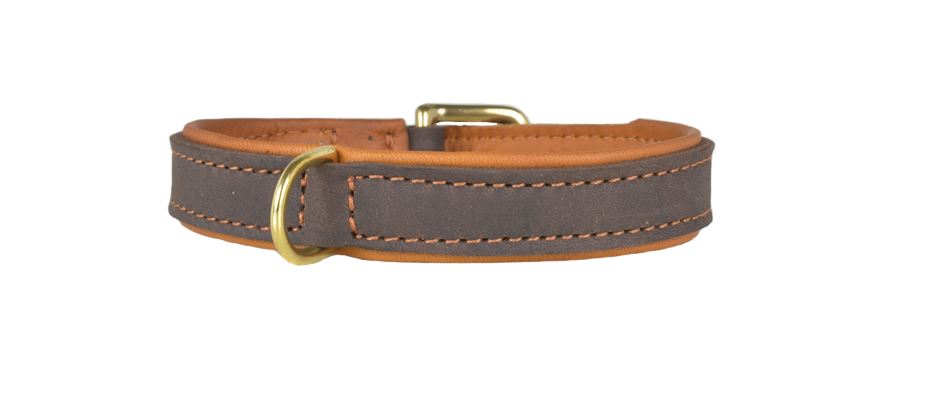 Halsband - Fettleder "Gürtelschnalle" messing 20mm breit