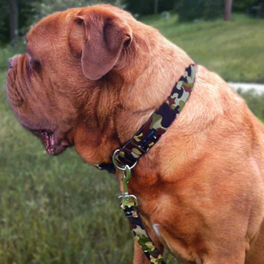 Walk-e-Woo - Halsband "Camouflage" in M