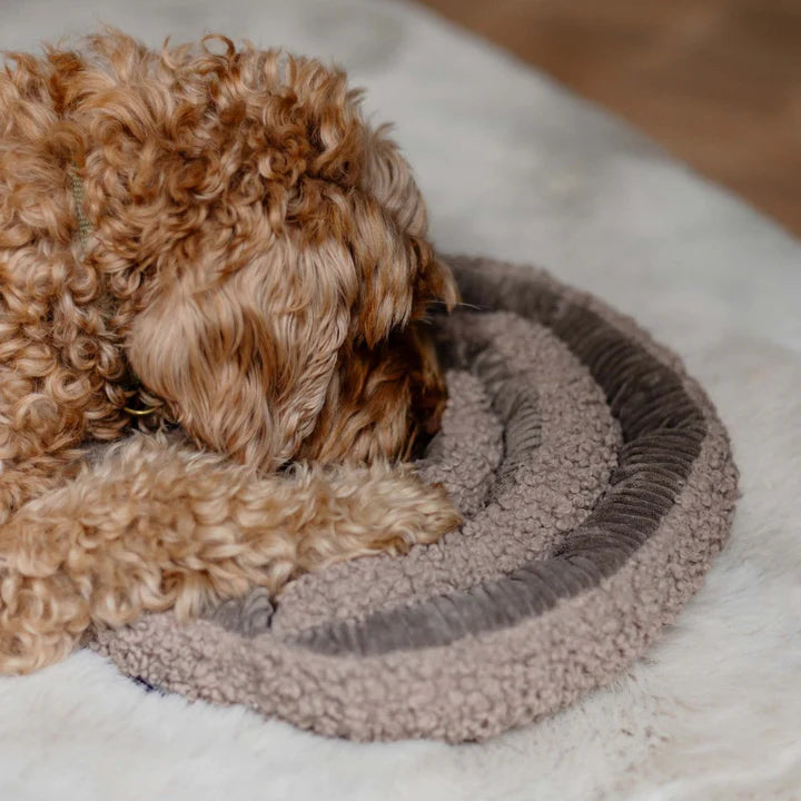 District 70 - Schnüffelteppich "Swirl" in taupe