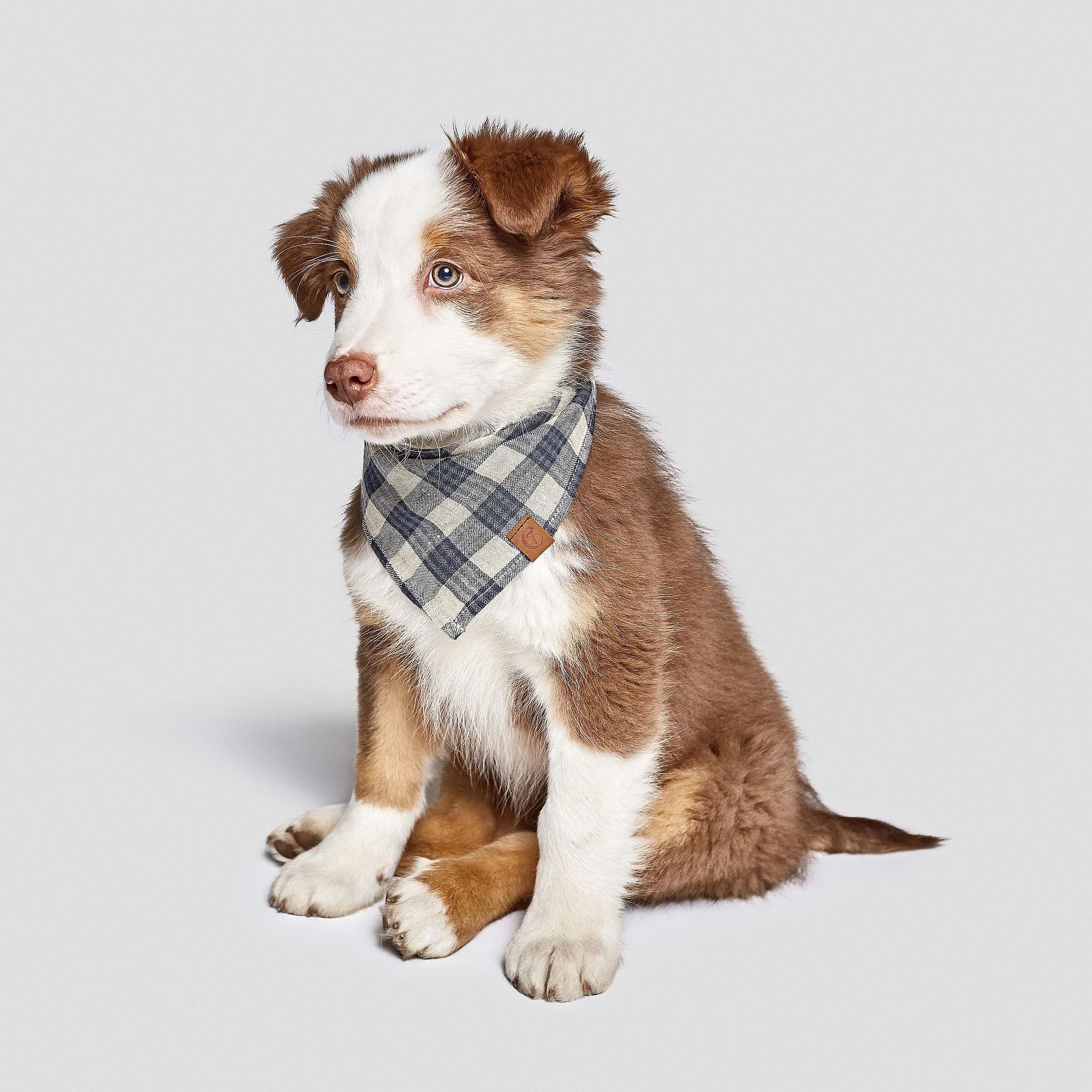 Cloud7 - Hundehalstuch "Dunkelblau Kariert"