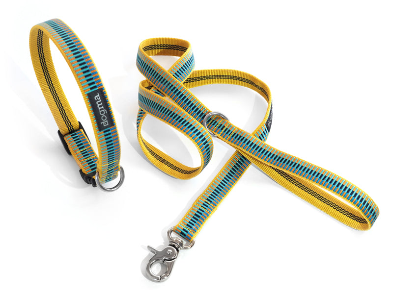 Dogma - Nylonleine "Sunny Beach - gelb" 2,5cm breit