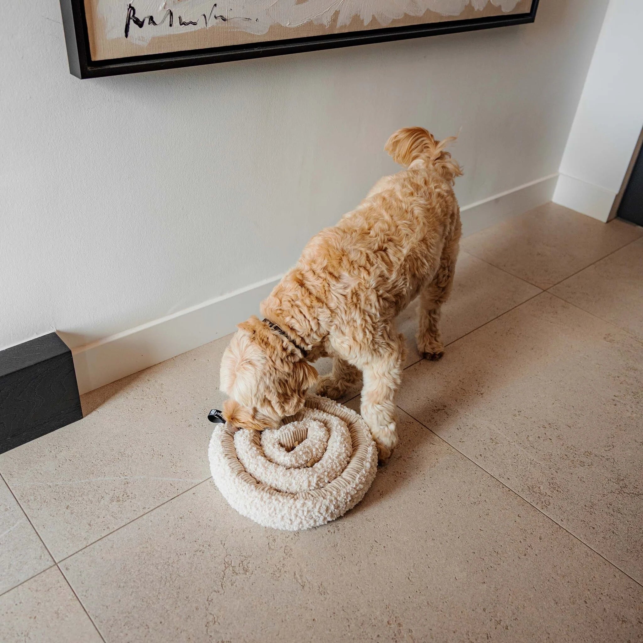 District 70 - Schnüffelteppich "Swirl" in merengue