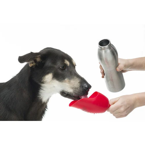 Kong - Wasserflasche "H2O" 740ml in rot