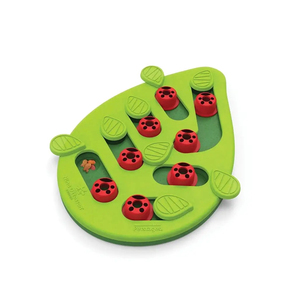 Nina Ottosson - Intelligenzspielzeug "Buggin' out"