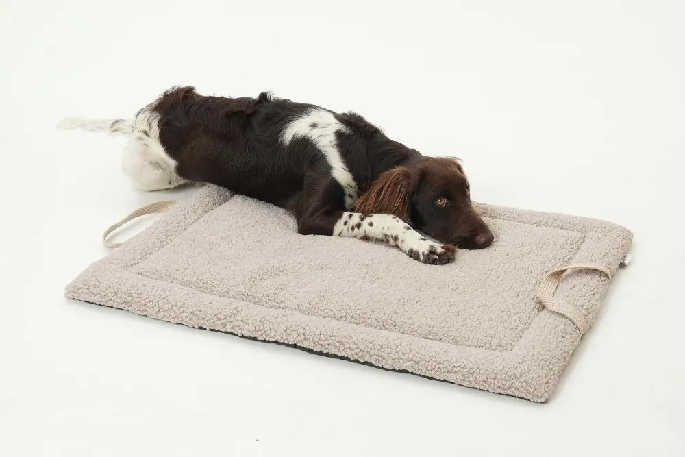 DOGS in the CITY - Reisematte "Matti" gravel in S