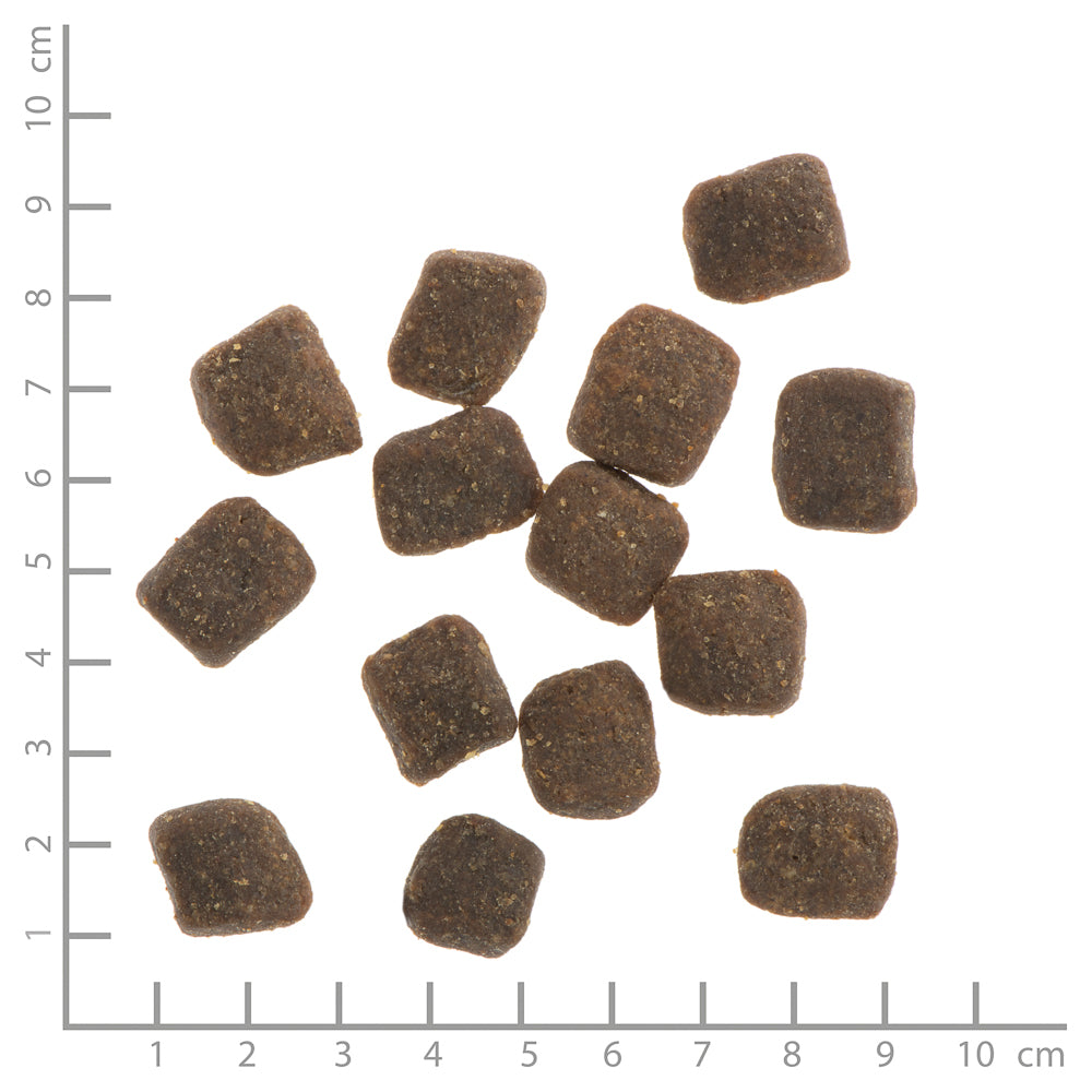 Wildes Land - Soft "Lamm mit Reis & Wildkräutern" 5kg