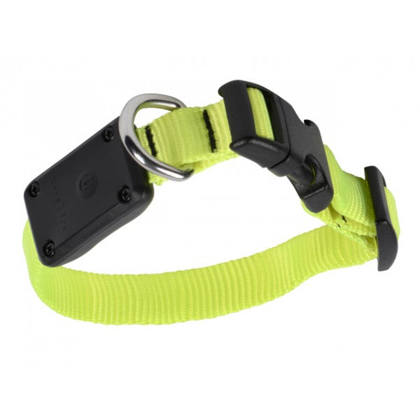NiteDawg - LED Light-Up Hundehalsband für kleinere Hunde "gelb" Größe XS
