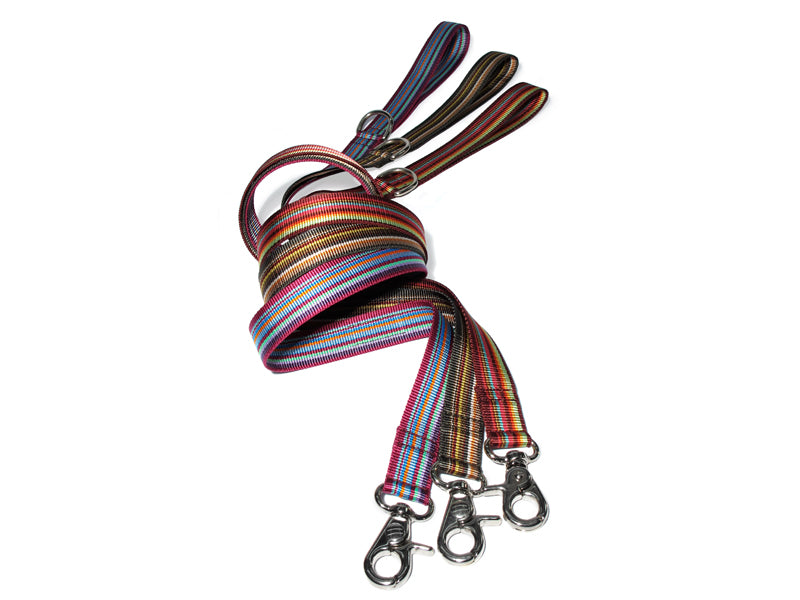 Dogma - Nylonleine "Stripes" 2,5cm breit