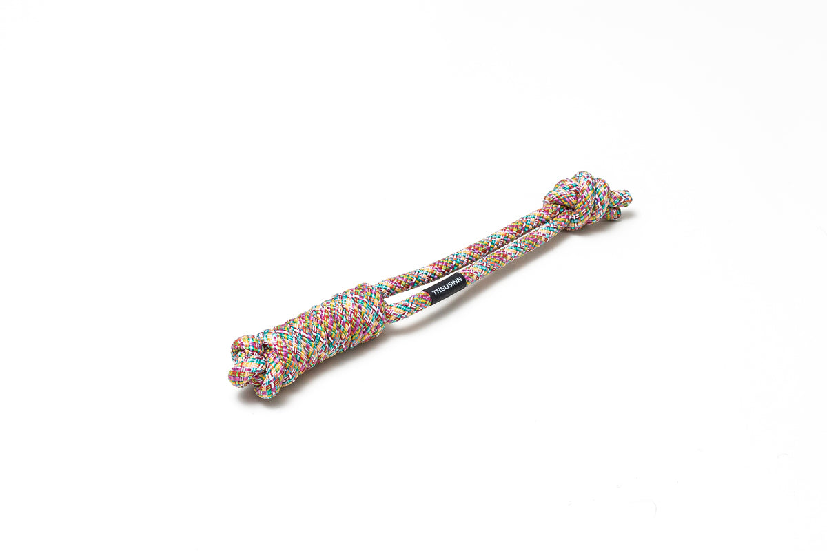 Treusinn - "SPIELY" Rainbow aus Segeltau
